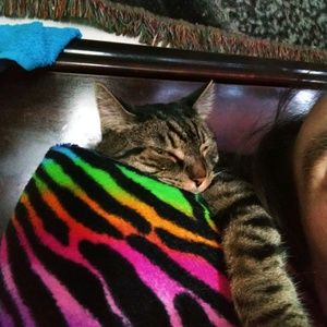 Meet your Posher, Richard